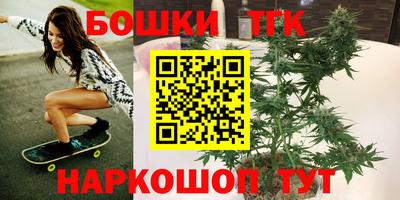 тгк Славгород