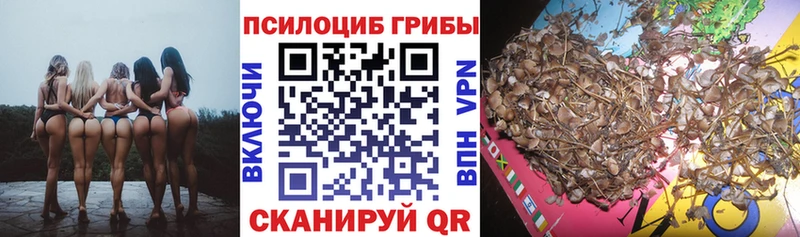 Псилоцибиновые грибы MAGIC MUSHROOMS  Черногорск 