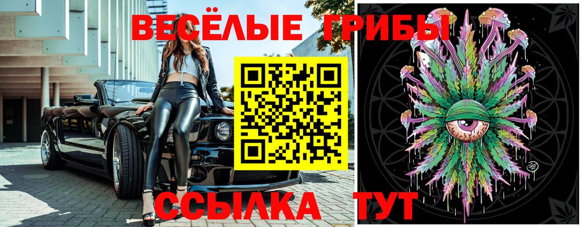 Черногорск  Галлюциногенные грибы мухоморы  Вход с VPN  Псилоцибиновые грибы мухоморы 